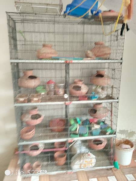 bird cage 6