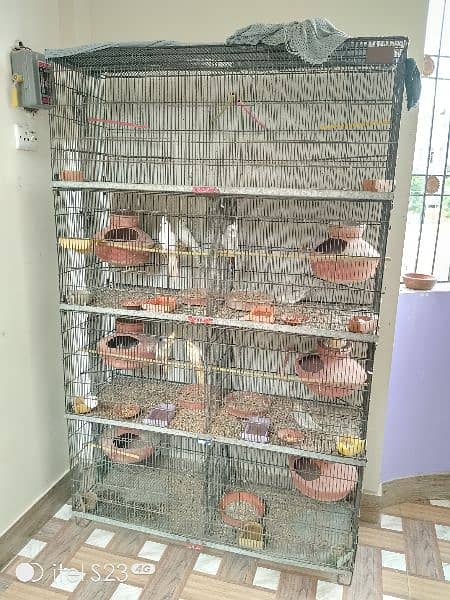 bird cage 7