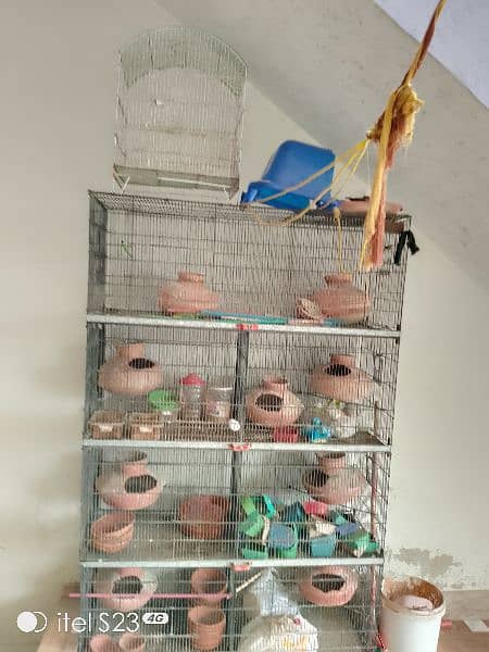 bird cage 8