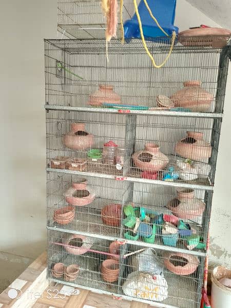 bird cage 9