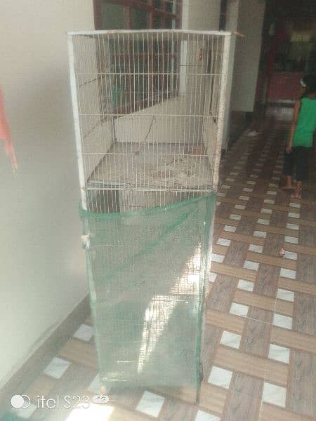 bird cage 18