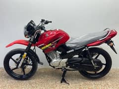 yamaha ybr 125g ( 2019 model )