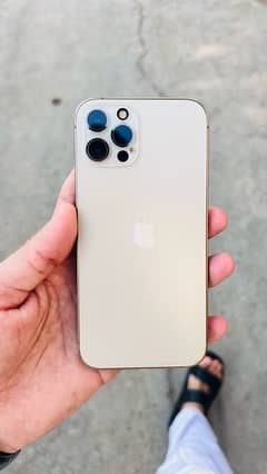 iphone 12 pro