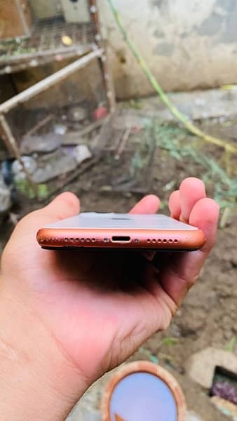 iphone xr converted into iphone 13 6