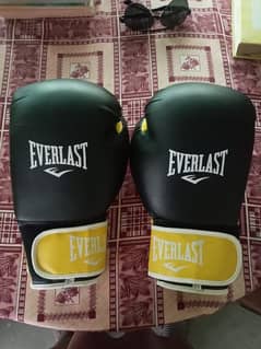 Ever Last Boxing Gloves