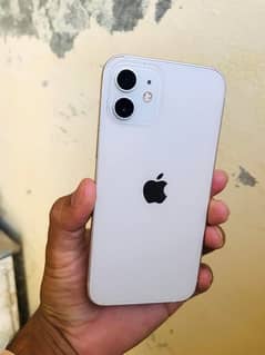 i phone 12