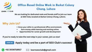 Office-Based Online Work in Barkat Colony Chung, Lahore