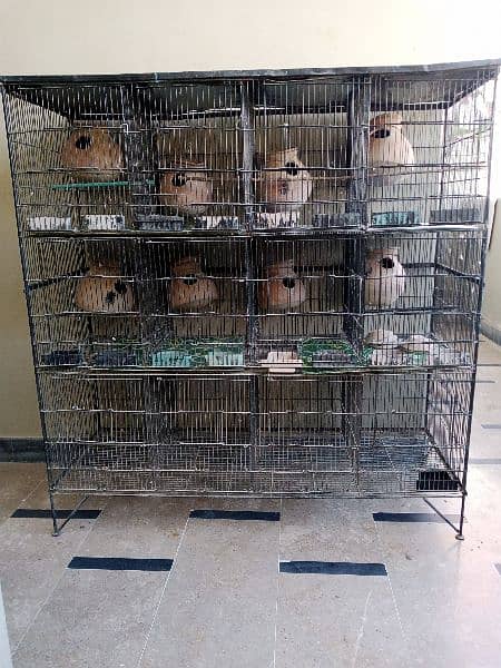 Cage for sale 0312 2291562 1