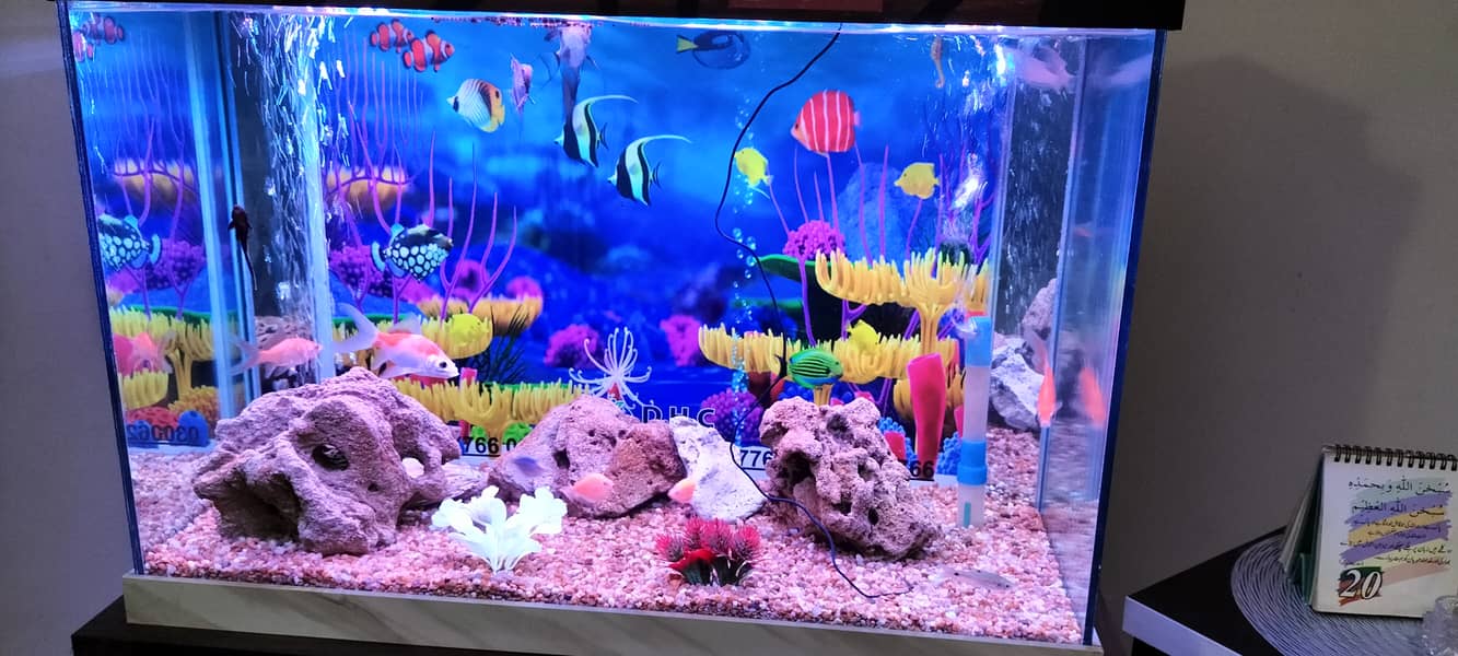 Aquarium 2