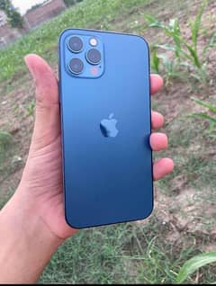 iphone 12 pro pta approved 256 gb