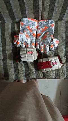 keeping gloves and batting gloves combo