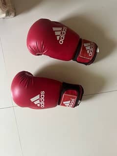 New Boxing Gloves with Old Bag