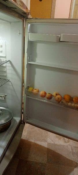 fridge 3