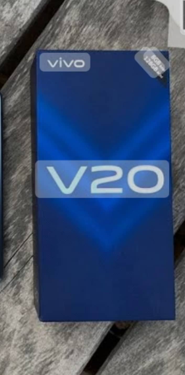 Vivo v20 8/128 1