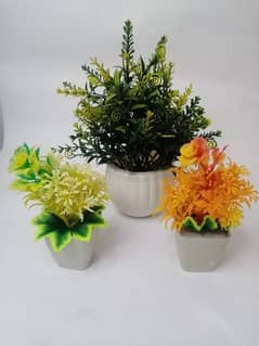 Artificial money plants pack of 3