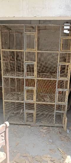 pigeon cage