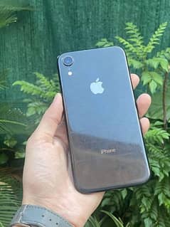 iphone xr dual sim pta approved