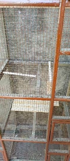 pigeon cage