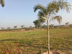 6 Marla Plot File For Sale On Installment In Executive Block Of Kingdom Valley One Of The Most Important Locations Of The Islamabad Discounted Price 65 Thousand