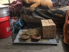 new cage 1 day used 2 by 3