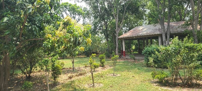 27 Kanal Land With Farmhouse For Sale 2