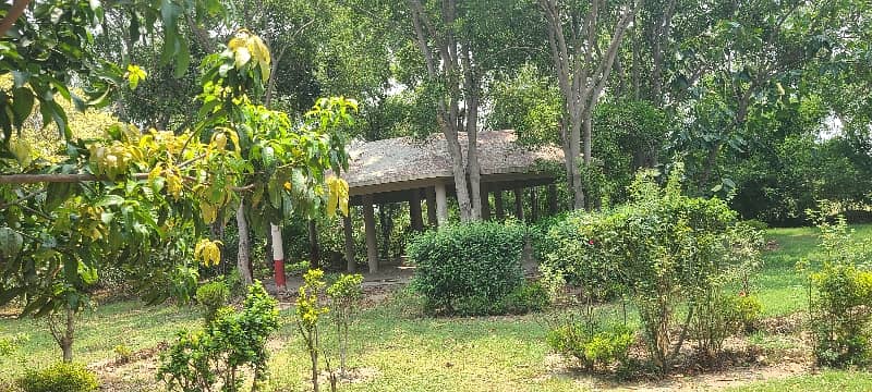 27 Kanal Land With Farmhouse For Sale 4