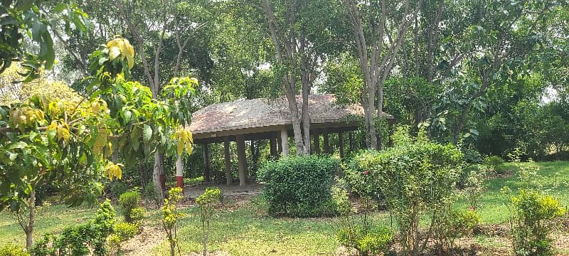 27 Kanal Land With Farmhouse For Sale 7