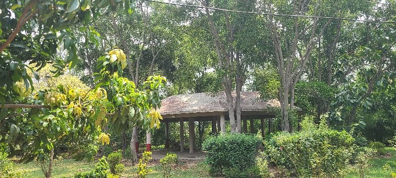 27 Kanal Land With Farmhouse For Sale 8