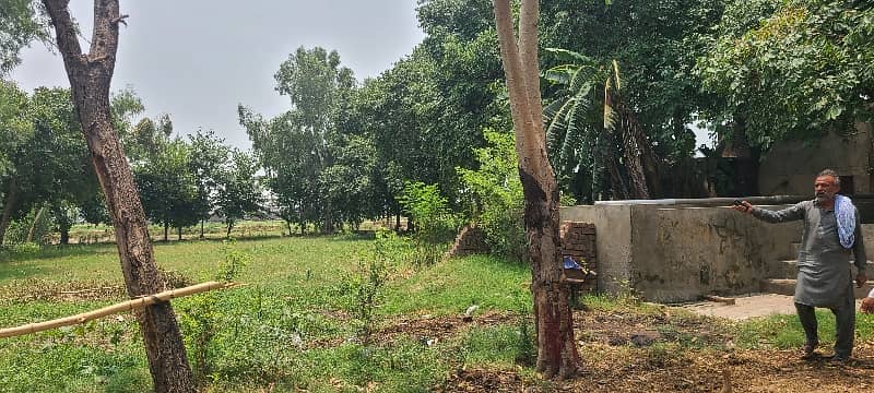 27 Kanal Land With Farmhouse For Sale 24