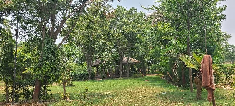 27 Kanal Land With Farmhouse For Sale 25