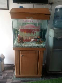 fish Aquarium