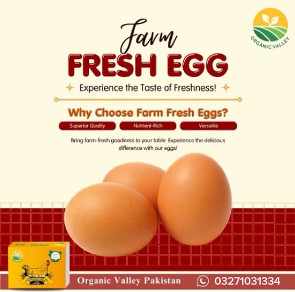 Organic Eggs / Desi Eggs 0