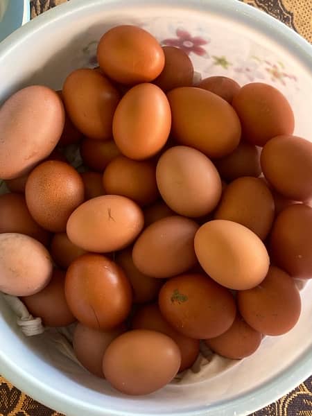 Organic Eggs / Desi Eggs 2