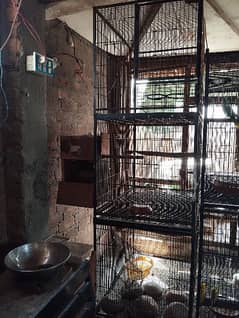 use cage for sell