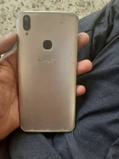 vivo