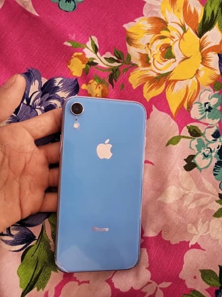 IPHONE XR 6