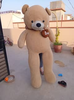 Teddy Bear 6Feet Tall