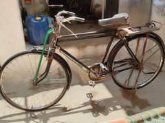 sohrab cycle for sale lush condition