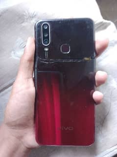 VIVO