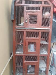 wooden Cages big size for sale 3 partition 10/10 condition