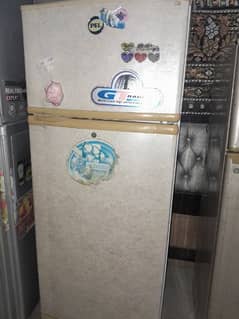 Pel company ka Jumbo size frige for sale