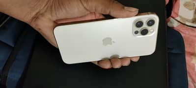 iphone 12 pro non pta mobile lush condition