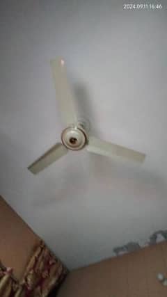 celling fan