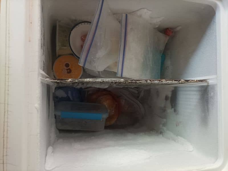 waves freezer 1