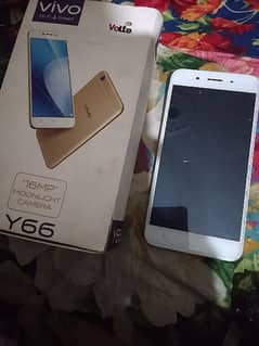 vivo y 66 conditon 10/8