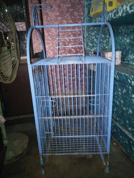 grey parrot cage 1