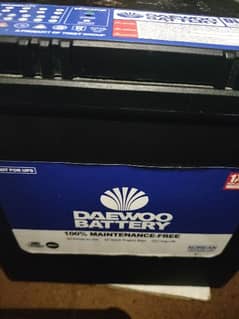 Daewoo dry battery 9 months warranty DL55