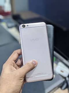 VIVO