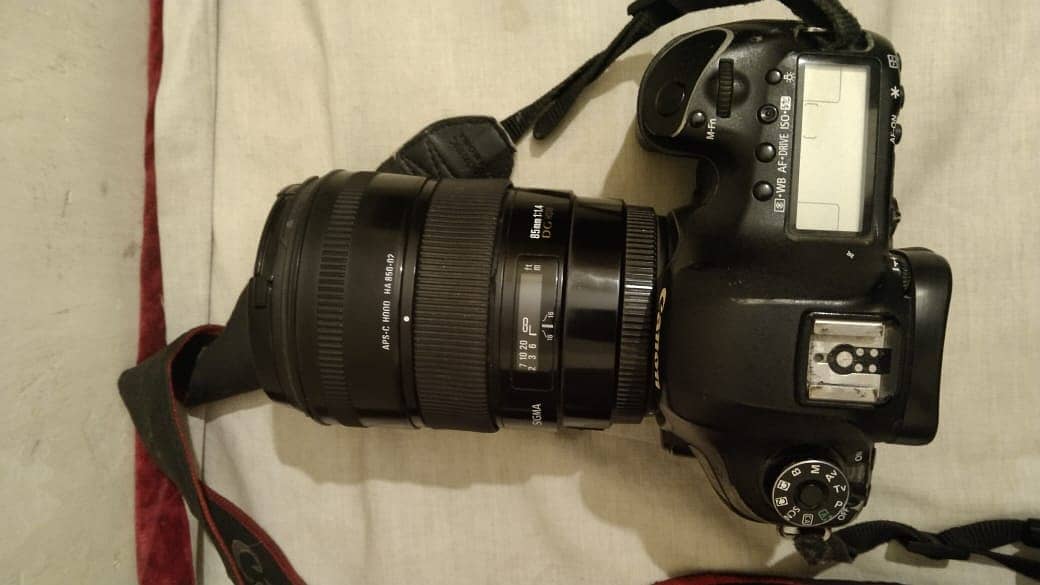 Canon 5D Mark 3 with 85mm f1.4 lens 3