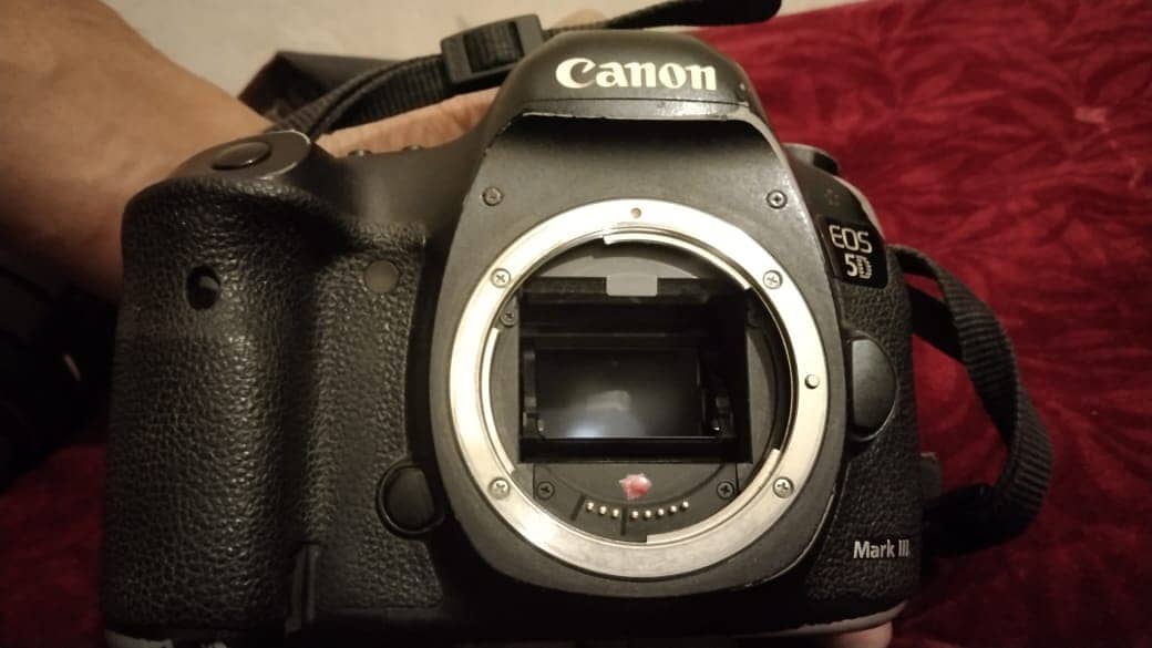 Canon 5D Mark 3 with 85mm f1.4 lens 18